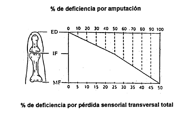 Deficiencia del pulgar debida a amputación a varios niveles (escala superior) o a pérdida sensorial transversal total (escala inferior)